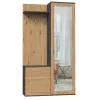 Esikukapp Top e shop GARD DUO ANT/ART KPL — 2 hingedega ust, puitlaastplaat, 1000×350×1800 mm