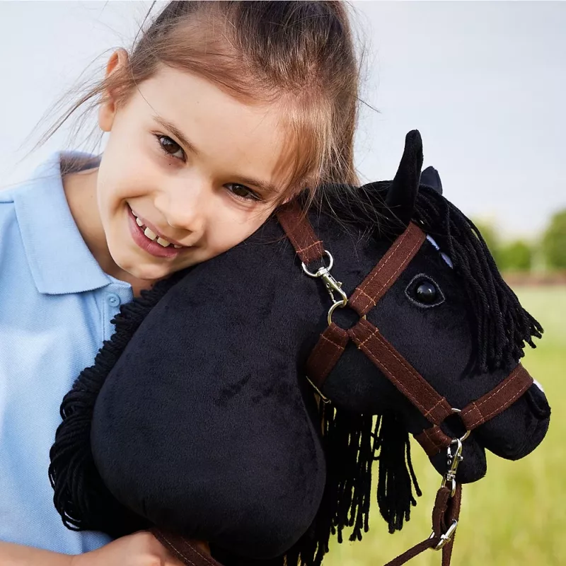 HOPPIHORSE Hobuhobune A3 must – pulkadaga hobune