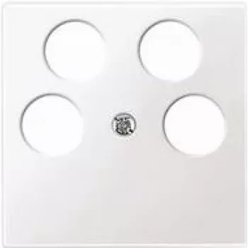 Seinaplaat / lülitikate Merten 296519, valge, termoplast, 1 tk
