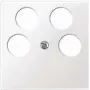 Seinaplaat / lülitikate Merten 296519, valge, termoplast, 1 tk