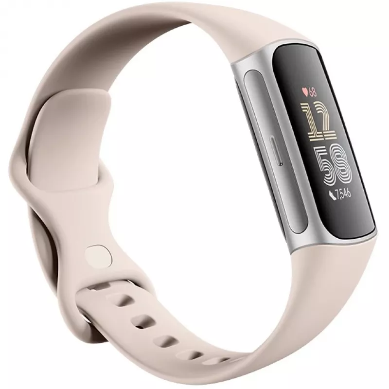 Fitbit GA05185-EU Hõbedane