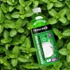 Nõudepesuvedelik FRISCHER 500 ml — kontsentreeritud köögitoodete käsipesuvahend