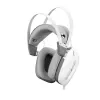 Kõrvaklapid White Shark GH-2446 Gottan Valge