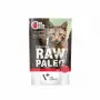 Märg kassitoit VETEXPERT RAW PALEO Adult Sterilised Beef 100 g kotike, monoproteiin, 78% niiskus