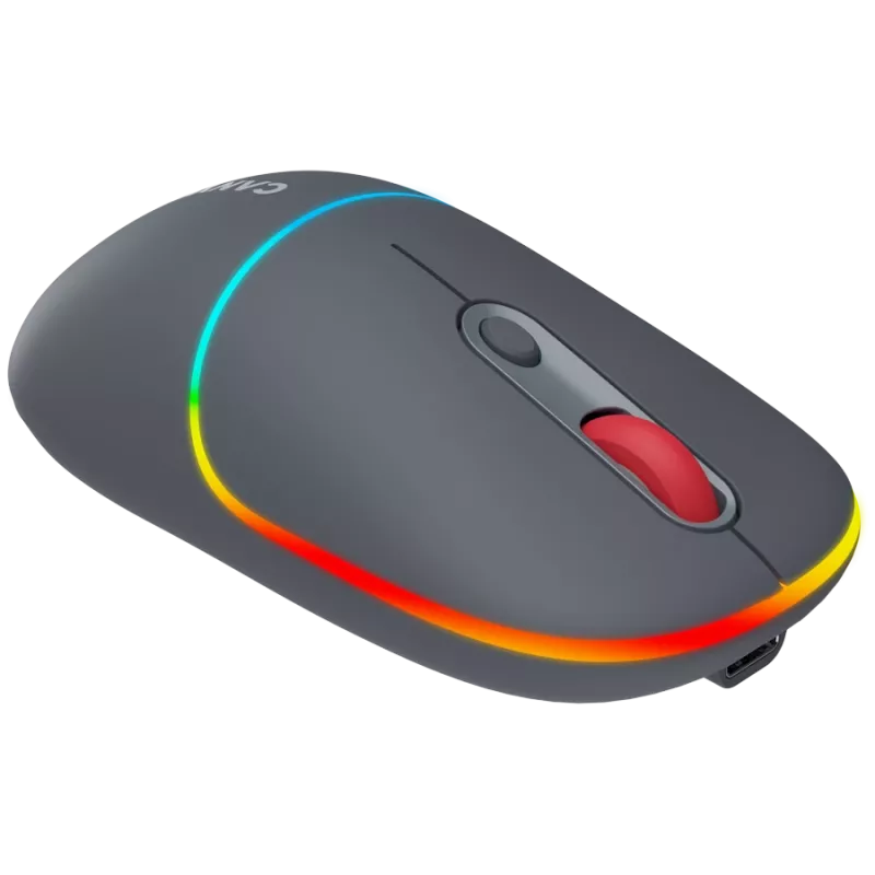 Canyon MW-22 2in1 RGB juhtmevaba hiir – hall – Bluetooth/RF – 1600 dpi – laetav