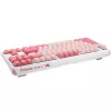 Ducky One 3 TKL klaviatuur Mängimine USB QWERTY Inglise Roosa