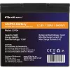 LiFePO4 aku QOLTEC 12,8 V 50 Ah (mudel 53704) varutoiteks ja energia salvestamiseks