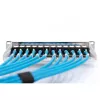 Modulaarne patch-paneel Digitus DN-91419 12 pordiga