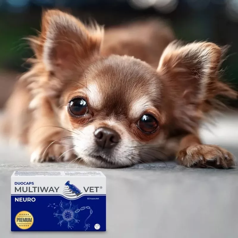 Toidulisandikapslid JM Sante Multiway Neuro koertele ja kassidele, 60 tk, 150 g, vähendab närvipinget