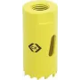 C.K. augusae 19 mm 424002 1 tk (424002)