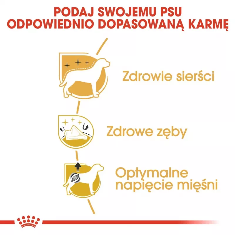 Kuiv koeratoit Royal Canin Poodle Adult 1,5 kg — kana, 30% valku, 19% rasva