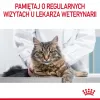 Royal Canini Urinary Care kuiv kassitoit 4 kg