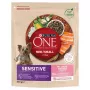 Kuiv koeratoit Purina Nestlé One Mini/Small Sensitive Salmon & Rice 800 g – väikest tõugu (5–10 kg), eakatele, 27% valku, 17% rasva