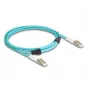 DeLOCK fiiberoptiline kaabel LC Duplex - LC Duplex OM3 3m