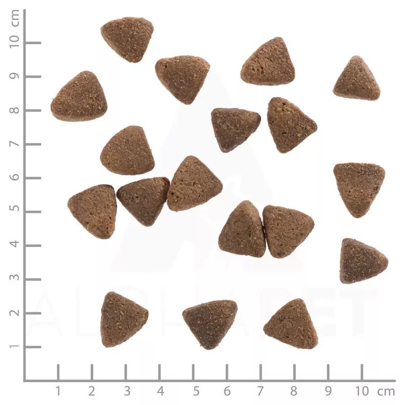 Wolfsblut Wide Plain Light kuivtoit koertele hobuselihaga ja bataadiga, 12,5 kg