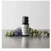 HoMedics Wind Down aroomiessents Eeterlik õli 15 ml Aroomidifuusor