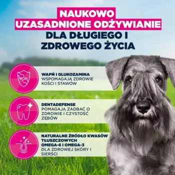 Kuiv koeratoit EUKANUBA Mature Small Chicken 3 kg — täiskasvanud väikest tõugu koertele