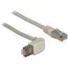Võrgukaabel DeLOCK 2m RJ-45 Cat5e S/FTP hall