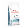 Kuiv koeratoit Royal Canin Anallergenic Small 1.5 kg — hüpoallergeenne täiskasvanute retsept väikest tõugudele