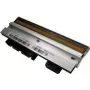 Citizen Prindipea prindipea Citizen CL-S6621 jaoks, 8 punkti/mm (203 dpi) (PPM80005-00)