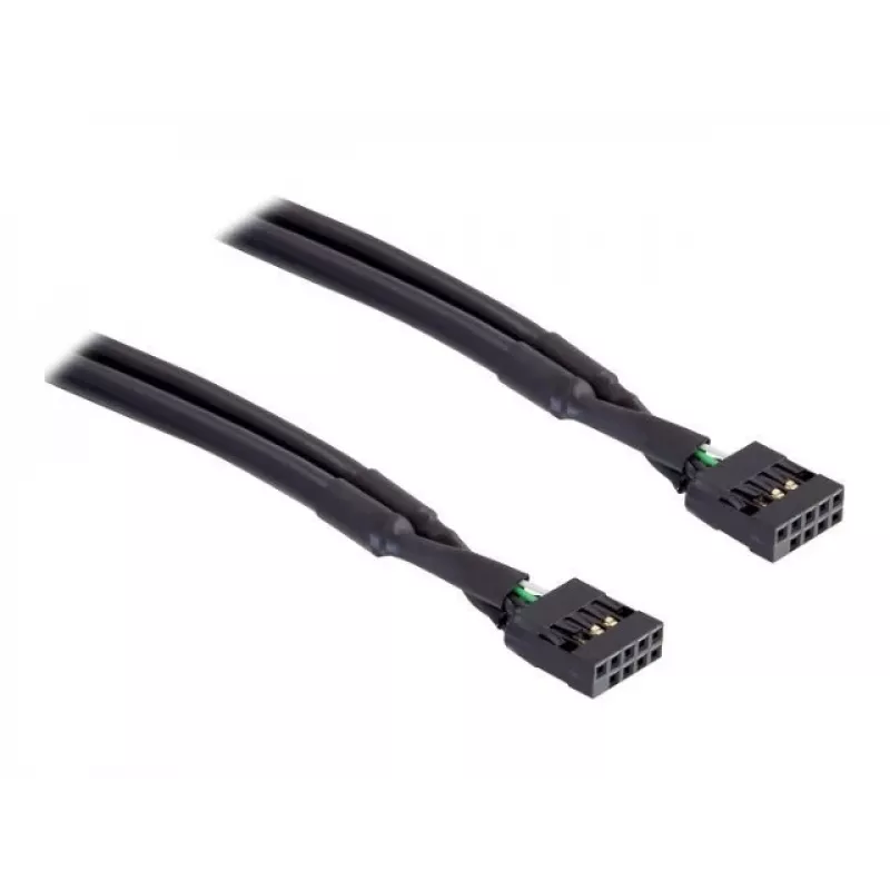 Sisemine USB-kaabel DeLOCK 82437 0,5 m 10 kontaktiga emane