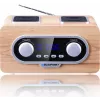 Blaupunkt PP5.2CR raadio kaasaskantav puit