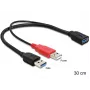 USB-kaabel DeLOCK 83176 USB 3.2 Gen 1 0,3 m USB A 2 x USB A