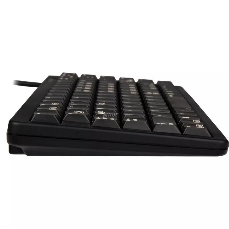 CHERRY G84-4100 klaviatuur Universal USB QWERTZ German Must