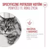 Märg kassitoit Royal Canin FHN Ageing 11+ Gravy 12×85 g – täisväärtuslik märgtoit kassidele kastmes