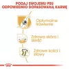 Kuiv koeratoit Royal Canin German Shepherd Adult, 11 kg — suur tõug, linnuliha, 24% valku, 19% rasva