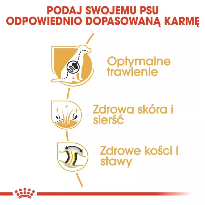 Kuiv koeratoit Royal Canin German Shepherd Adult, 11 kg — suur tõug, linnuliha, 24% valku, 19% rasva