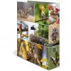 Ringbinder HERMA 19254 A4 Mitmevärviline D-rõngaga hoiustamine 285x315mm