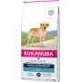 Kuiv koeratoit EUKANUBA Adult Labrador Retrievers 12 kg — kana ja kalkun, 23% valku, 13% rasva