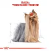 ROYAL CANIN BHN Yorkshire Terrieri täiskasvanud koera kuivtoit - 7.5 kg