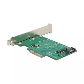 Liidesekaart DeLOCK 89381 sisemine M.2 SATA