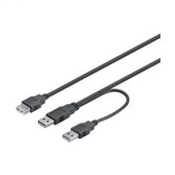 Wentronic Goobay USB 2.0 Hi-Speed Dual-Power kaabel, must, 0,3 m - USB 2.0-pistik (tüüp A) , USB 2.0-pistik (tüüp A) > USB 2.0-pesa (tüüp A) (93353)