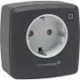 eQ-3 AG Homematic IP 161613A0, sisetingimustesse, antratsiit, plast, IP20, IP20, 70 mm
