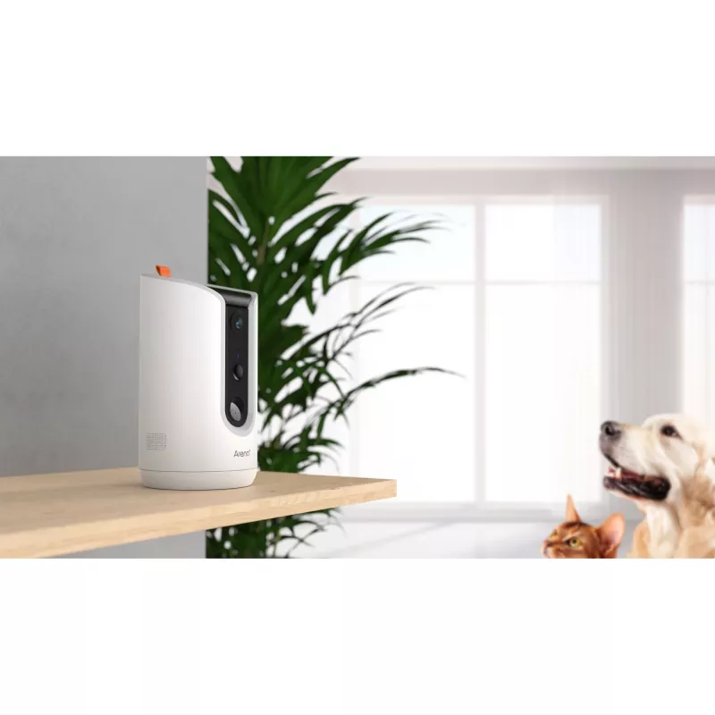 Arenti PETCAM1T siseruumide WiFi lemmikloomakaamera ja toiduautomaat IP turvakaamera lauale
