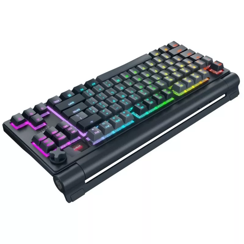 Mehaaniline klaviatuur Cherry MX 8.3 Wireless RGB Red Switch DE paigutus