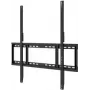 OPTOMA TECHNOLOGY Hoidik N ekraanidele (H1AX00000257)
