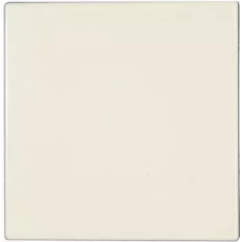 JUNG LS 990 - Ivory - 501 U - 502 U - 503 U - 506 U - 507 U - 501-20 U - 506-20 U - 507-20 U - 502 TU - 506 TU - 507 TU - 531 U,... - IP44