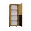 KAMARO 2DK õhuke/GŁ tamm ARTISAN DISPLAY CABINET