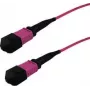 InfiniBand kiudoptiline kaabel GRAFENTHAL GTOM4MPOUMPOU01000 10m MPO OFC Violet