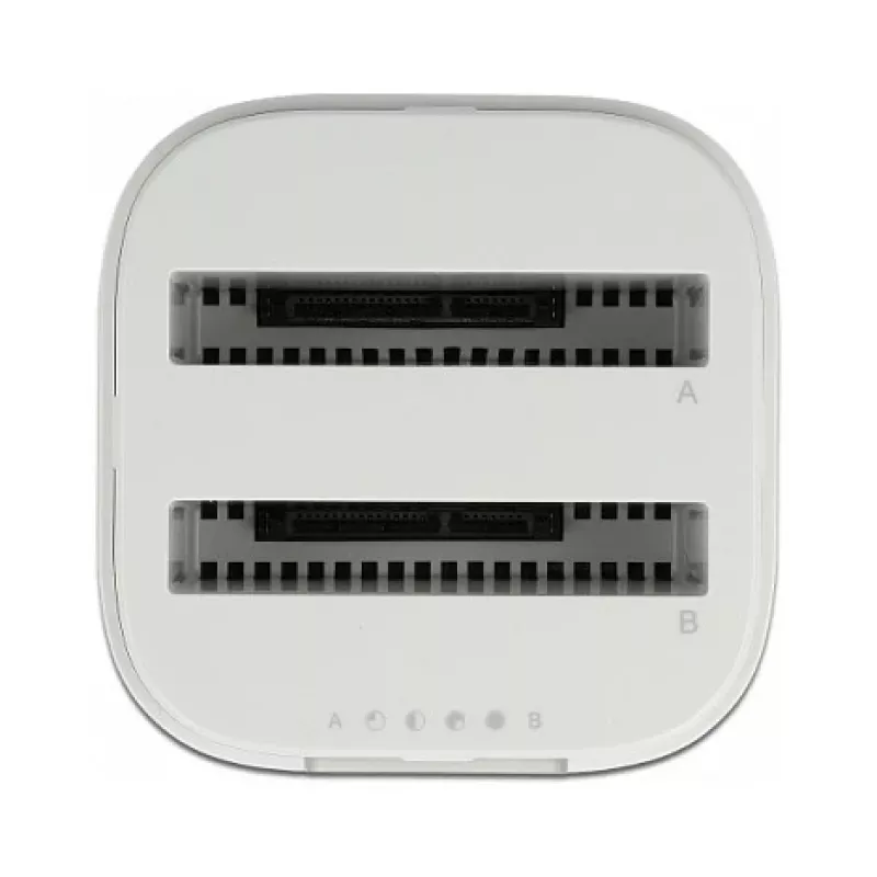 Dokingujaam DeLOCK USB USB-C™ 3.2 kahe 2,5-tollise SATA HDD/SSD jaoks