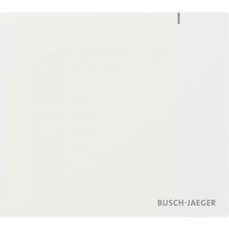 BUSCH JAEGER System Access Point 3.0 Wireless SAP.13-WL (2CKA006200A0967)