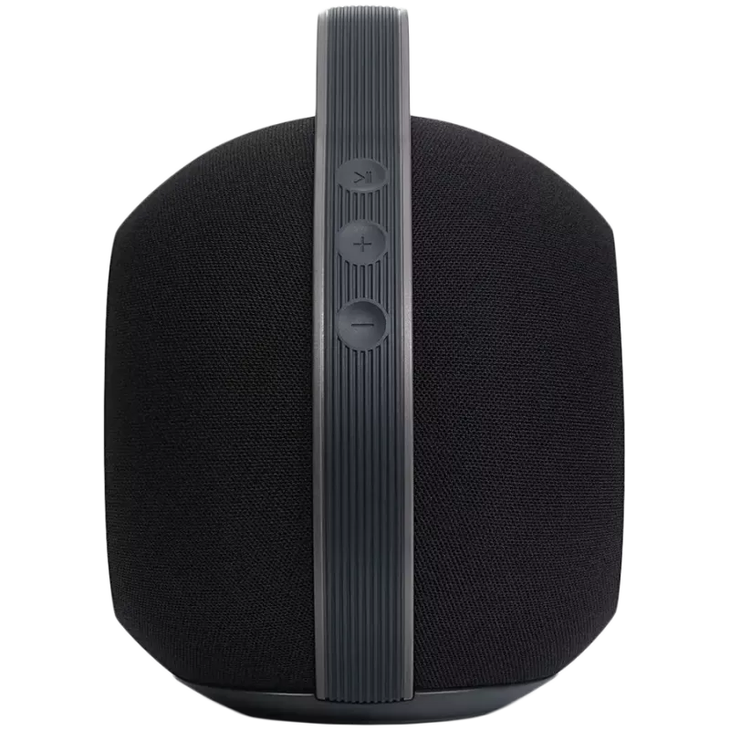 Stereo portable speaker Devialet Mania 95 dB
