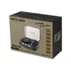 Muse MT-201 DG Must