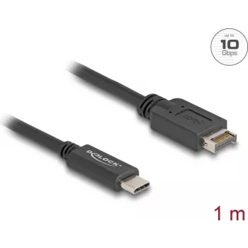 DeLOCK USB-kaabel USB Type-E Key A 20 kontaktiga isane USB USB-C isasele 1 m