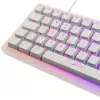 Mehaaniline TKL mänguklaviatuur XTRFY K5 RGB — tenkeyless, läbipaistev/valge