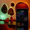 Twinkly Dots 60 RGB USB nutituled, 3 m, must